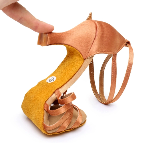 Профессиональная латино -танце