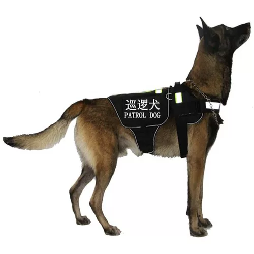Полицейская собака откинула армейскую собачьную ткань Breit ленту