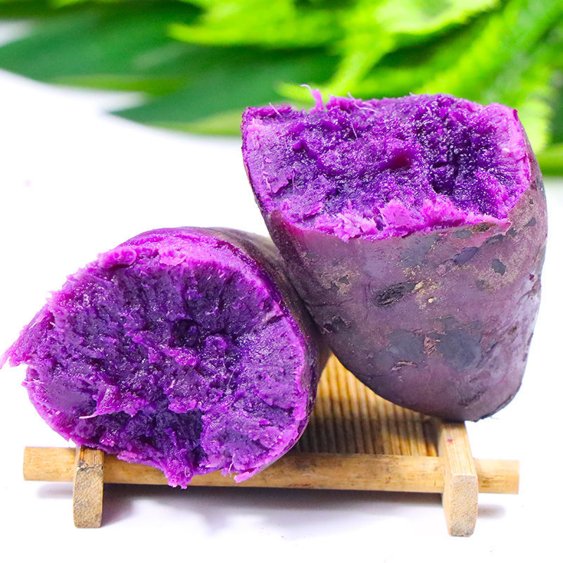 现挖高花青素紫薯新鲜紫心紫罗兰沙地瓜
