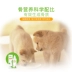 Pet dog canxi máy tính bảng canxi lỏng chó trưởng thành jinmao Teddy cat dinh dưỡng tốc độ bổ sung năng lượng tuyệt vời canxi sản phẩm y tế sữa mèo con Cat / Dog Health bổ sung