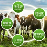 Быки и овец, жир, жир, говяжья овец и удобрение желудка.