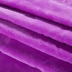 Giải trí chăn mặt bích clip sheets chăn san hô chăn đôi chần chăn chăn bông chăn mùa đông màu rắn