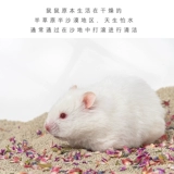 Золотой шелковый медведь медведь медведь для бах