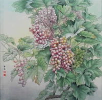 Гонгби живопись Draft Sun Xizhi Grape Dou Dou Fang Bai рисует 84#печати и имеет текст шага с изображением