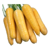Вестерн -желтый женьшень органический морковный семена Желтая морковь, семена желтых овощей, семена, холодная устойчивость, горячая и вкусная