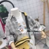 quần áo Hàn Quốc phiên bản Pudding Nhà trẻ em 2019 mùa thu mới của môi trường tự nhiên trở lại trong Tông Gezi áo sơ mi giản dị in chữ - Áo sơ mi áo sơ mi trẻ em Áo sơ mi