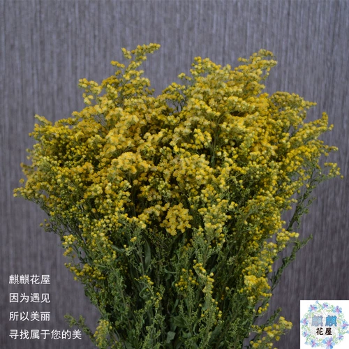 Huang Yinghua Yunnan Zhenhua Высушенные цветы, украшения, подходящие, качающиеся, букеты с цветами с цветами