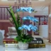 [Đặc biệt hàng ngày] Bướm phong lan nghệ thuật trong chậu Mô phỏng hoa khô Đặt trang trí hoa giả Vườn phòng khách Bàn ăn - Hoa nhân tạo / Cây / Trái cây Hoa nhân tạo / Cây / Trái cây