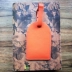Thẻ da ưu đãi đặc biệt Vali màu cam thẻ hành lý Thẻ da chủ Thẻ gói