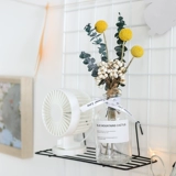 Nordic Ins сушеные цветочные бутылки Вечные цветочные муминовые листеры Yugali Вставьте цветы маленькие свежие украшения домашние украшения