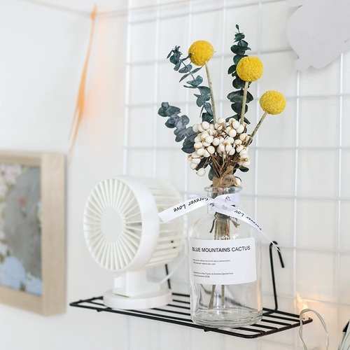 Nordic Ins сушеные цветочные бутылки Вечные цветочные муминовые листеры Yugali Вставьте цветы маленькие свежие украшения домашние украшения