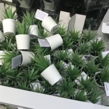 Ikea Homegic Boypasing Ficca искусственное растение с цветочными горшками, крытые/наружные мясо, 6 см.