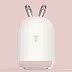 máy phun ẩm công nghiệp Fawn bunny mini humidifier Khuôn mặt nhỏ hydrating hấp mặt usb văn phòng máy tính để bàn ký túc xá giữ ẩm - Máy giữ ẩm bù ẩm cho điều hòa Máy giữ ẩm