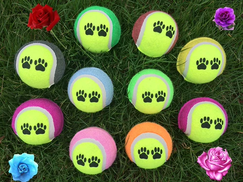 Игрушка для домашних животных, поставки для тренировок с теннисными собаками, измельчение зубов, патрулирование мяча, золотая лихта, маленькая собака Tedsamier