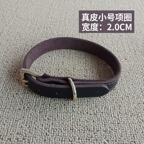 Темплохимическое кольцо собака средняя маленькая большая большая собачья кружковая шея кружок Педань Собаки Собаки, Золотые волосы на шейке