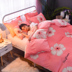 Winter cashmere san hô flannel chăn đơn mảnh mùa thu và mùa đông nhung sang trọng trẻ em flannel chăn đúp 1.8 - Quilt Covers chăn sưởi điện Quilt Covers