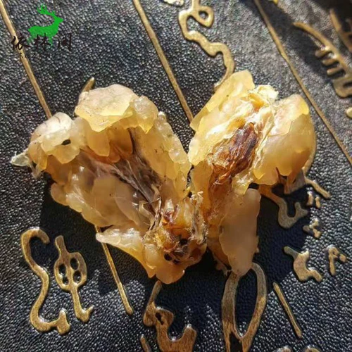 Бесплатная доставка 10 грамм снежного моллюска