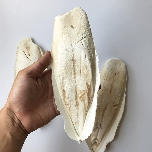 Кальциевая добавка каравиц костяная розовая черепаха кальциевая добавка Птицы, добавка кальция, яйцо, яйцо, мягкая раковина