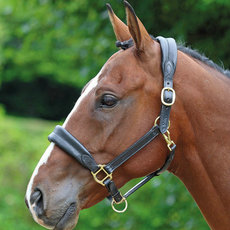 Недоуздок 英国shires牛皮牵马笼头牵马龙头拉马龙头笼头结实耐用bcl328108
