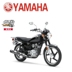 Yamaha Tianjun 125SP125 xe máy Mỹ retro đầu máy Xiaotaizi xe máy thương hiệu xe mới mortorcycles