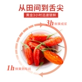 Qizhitang ningxia Fresh Wolfberry Original Pulp Cuce в Ningte -Degrade Fresh Fruet Cructr