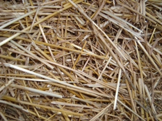 Домашняя пшеничная соломенная солома для пшеницы соломенная тарелка пшеница равиоли