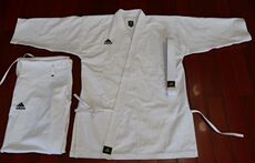 Форма для каратэ 各种颜色纯棉厚料空手道服