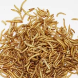 Закуски Hammel, желтый порошок, червь, зерновая лапша, сухой продукты, рыба, зерно черепах, птичья пищу 400 мл консервированных бабочек с лапшой