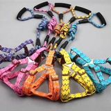 Щенка для щенка веревочная веревочная ремешок с воротником маленькая ходьба для собак верево