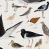 ins khăn vải thường treo tấm thảm bọc vải bãi biển rèm tường minh họa loài chim trang trí động vật - Tapestry