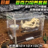 10 см маленькая ящик для разведения домашних животных yayli reptile box spider 蜈 ящик для размножения