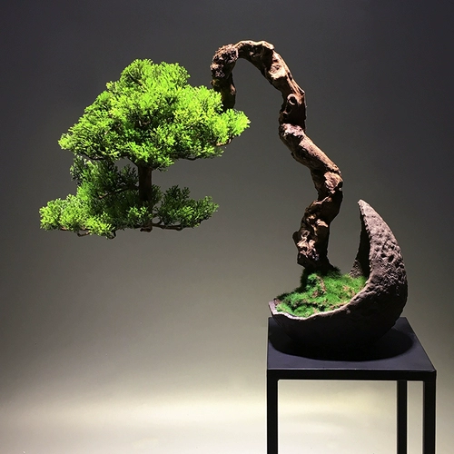 Самая восточная симуляция сосна зеленое растение Мосс Микро -Стандартное Медитация китайского стиля Японский ландшафт бонсай