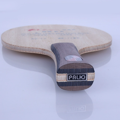 Палио стреляет в Рио К.