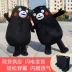 Kumamoto gấu phim hoạt hình búp bê trang phục đi bộ búp bê đạo cụ búp bê trang phục cosplay hiển thị trang phục chuyên nghiệp tùy chỉnh Cosplay