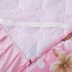 dày Hàn Quốc bông giường váy ngủ váy công chúa khăn trải giường gia đình bốn bảo vệ 1,5 1,8 m 2.0m - Váy Petti váy giường đẹp	 Váy Petti