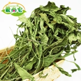 Натуральные одуванчики сушеной травяной кролики голландские свинины соседки Tmall Крысы и крысы Керронт Термический летний здравоохранение Федеральное CAO 100G