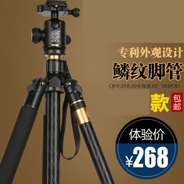 轻装时代 Штатив, камера, портативная профессиональная трубка, видеокамера с аксессуарами, D2, D610