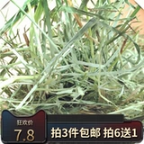 БЕСПЛАТНАЯ ДОСТАВКА 2022 Новое высокое качество кролики Timore 500G Dished Trass, морские свинки, трава голландская свиньи питайте