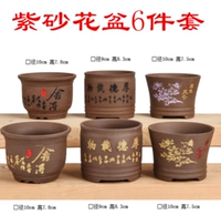 Цвет лотоса