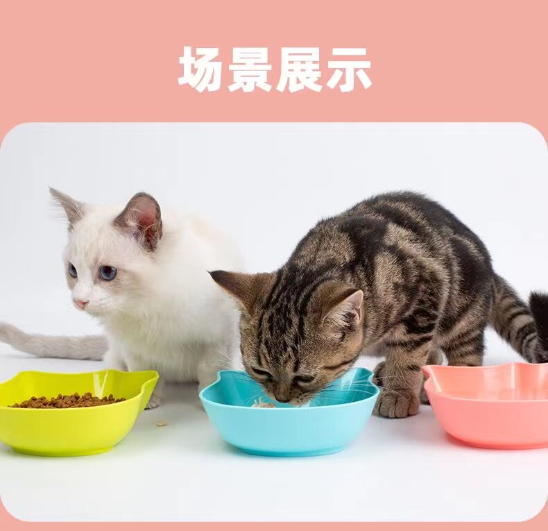 盐城宠物用品行业新态势：需求升温背后的市场机遇