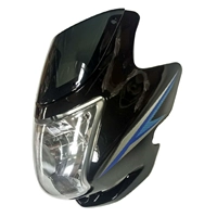 Жемчужный черный гид Flint Big Light