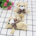 Đồ chơi sang trọng Teddy Bear Curl Bow Tie Doanh Bear Bức tượng Mặt dây Cartoon Cartoon Bó hoa cưới Quà tặng - Đồ chơi mềm búp bê em bé Đồ chơi mềm