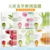Phổ biến Han Ji Zhen Cui Shui Lun Run Nourishing Skin Fresh Red Pomegranate Rose Cucumber Plant Essence Mask - Mặt nạ Mặt nạ