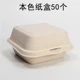 Bento Box Color 50