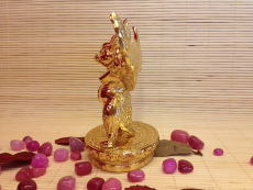 Изображения Будды, Статуи божества 大鹏金翅鸟佛像/摆件/藏传佛教用品 佛堂必备护法神