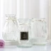 [Ba bộ] bình thủy tinh đơn giản cây thủy canh hoa khô hoa lily bình hoa trang trí phòng khách trang trí - Vase / Bồn hoa & Kệ