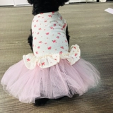 Qingcang Pet Spring и летняя юбка для пряжи плюшевые VIP