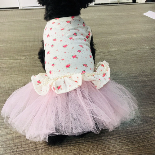 Qingcang Pet Spring и летняя юбка для пряжи плюшевые VIP