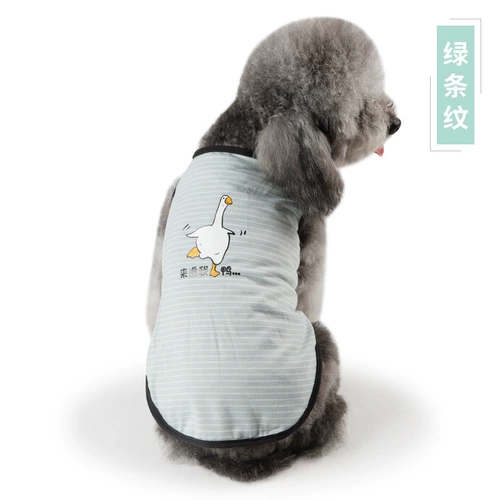 Личность домашних животных тонкая двухфутов