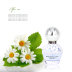 Nước hoa Dreamland Daisy Nước hoa Lady Lasting Light Frag thơm Fresh Spray Flower Fruit Eau de Toilette - Nước hoa nước hoa mini Nước hoa